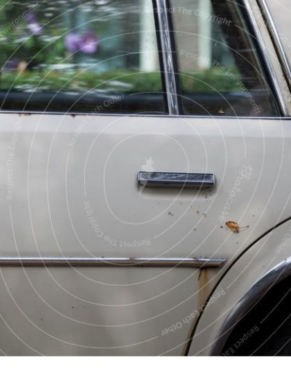 Photocase #1190 - 3767122