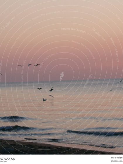 Photocase #3 - 68060